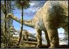 Dinosaur - Brachiosaurus