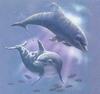 [Animal Art - Dale Begley] Dolphins