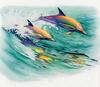 [Animal Art - Tim Pinkston] Dolphins