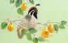 [Animal Art] Quail?
