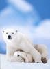 Polar Bear mother and cub (Ursus maritimus)