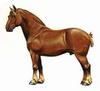Horse breed - Suffolk (Equus caballus)
