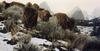 American Bison herd (Bison bison)