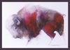 [Animal Art - Sarah Rogers] American Bison (Bison bison)