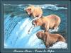 Brown Bears (Ursus arctos)