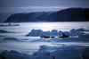 Greenland: Eskimo Sled-dogs (Canis lupus familiaris)