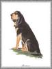 [Painting] Dog - Bloodhound (Canis lupus familiaris)