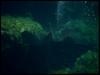 [Underwater] Lagoon
