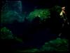 [Underwater] Lagoon