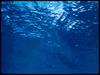 [Underwater] ...