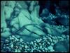 [Underwater] ...