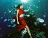 [Underwater Scuba Diving] Lady & Fishes