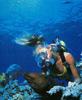 [Underwater Scuba Diving] Lady & Moray Eel