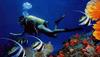 [Underwater Scuba Diving] Lady & Bannerfish school