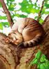 Cute kitten art