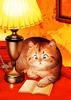Cute kitten art