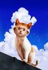 Cute kitten art