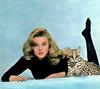 Lady & Ocelot (Leopardus pardalis)