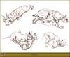 [Animal Art - Robert Dallet] Eurasian Lynx (Lynx lynx)