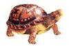 [Clipart] Eastern Box Turtle (Terrapene carolina)