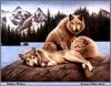 [Animal Art - Jeanne Filler Scott] Timber Wolves (Canis lupus)
