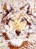 [Animal Art - Diana Casey] Gray Wolf (Canis lupus)