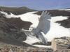 Snowy Owl in flight (Nyctea scandiaca)