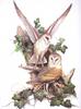 [Animal Art - Roger Tory Peterson] Barn Owl pair (Tyto alba)