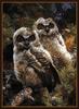 [Animal Art - Carl Brenders] Great Grey Owl chicks (Strix nebulosa)