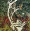 [Animal Art - Bev Doolittle] Least Weasel (Mustela nivalis)