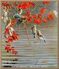 Cedar Waxwing flock (Bombycilla cedrorum)