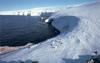 Adelie Penguin flock (Pygoscelis adeliae)