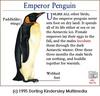 Emperor Penguin (Aptenodytes forsteri)