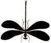 Damselfly