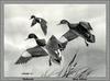 [Animal Art - Dick Elliott] Mallards (Anas platyrhynchos)