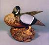 [Animal Art] Blue-winged Teal (Anas discors)