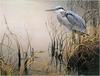 [Animal Art - Robert Bateman] Great Blue Heron (Ardea herodias)