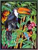 Toucan (Ramphastidae)