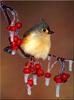 Tufted Titmouse (Baeolophus bicolor)