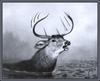 [Animal Art - Arthur Fitzwilliam Tait] Escaped (1883) - Deer buck