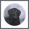 [Animal Art - Arthur Fitzwilliam Tait] Black Labrador Retriever (1860)