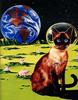 [Animal Art - Val and Ron Lindahn] Secret Lives of Cats 09