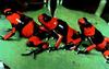 Lehmann's Poison Dart Frog (Dendrobates lehmanni)