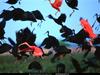 [National Geographic] Scarlet Ibis (홍따오기)