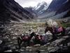 [National Geographic Wallpaper] Horse Riders (히말라야의 두 기수)