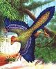 Archaeopteryx