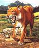 Smilodon