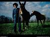 [National Geographic Wallpaper] The Old with horse (노인과 말)