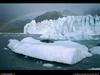 [National Geographic Wallpaper] Leopard Seal (얼룩바다표범)