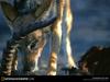 [National Geographic Wallpaper] Black-backed Jackal (검은등재칼)